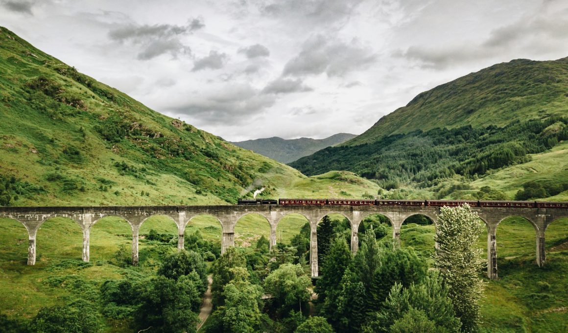 train passing by bridge over mountains