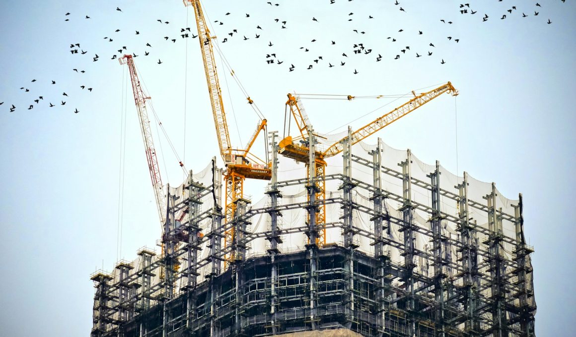 low angle photography of cranes on top of building