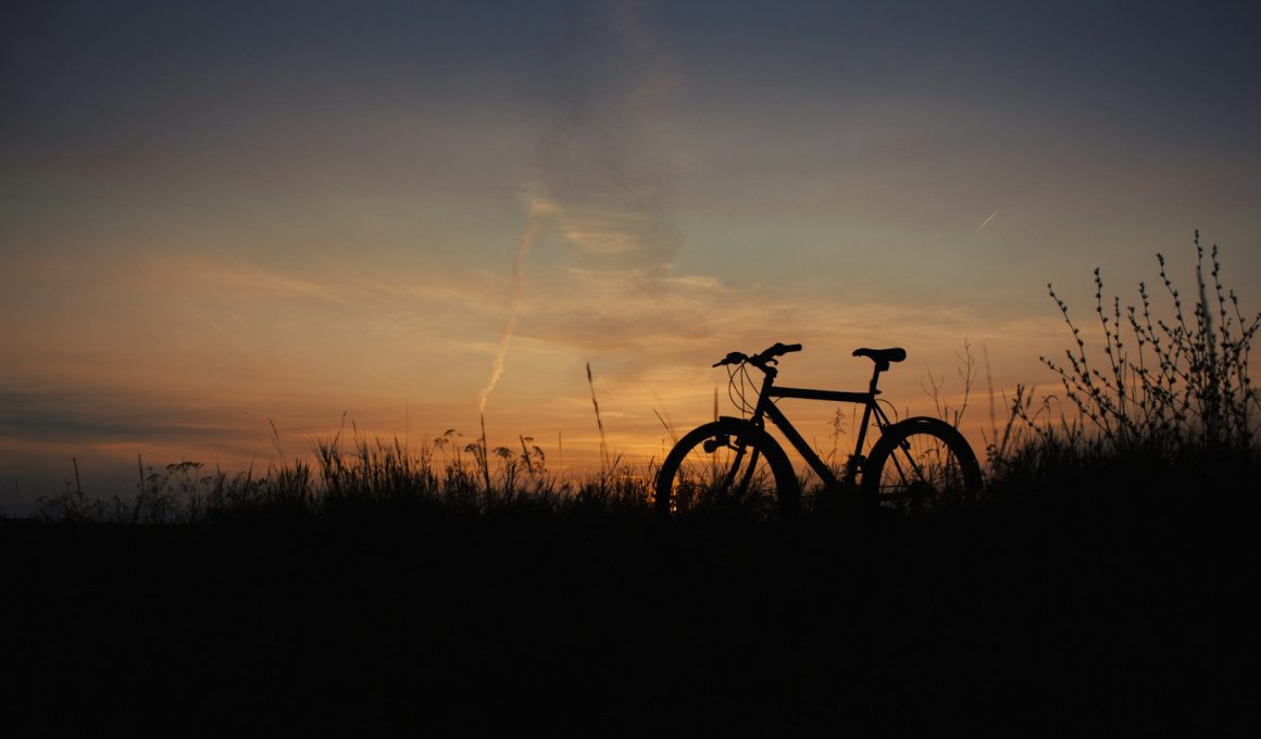 a bike is sitting in the grass at sunset