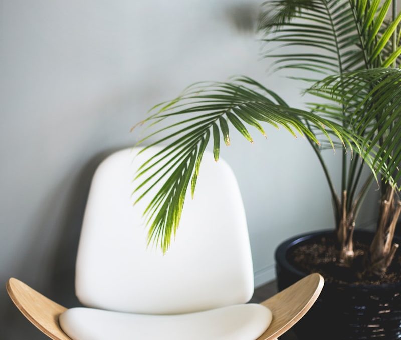 brown wooden chair beside plant