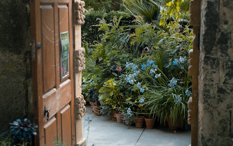 green plants beside brown wooden door