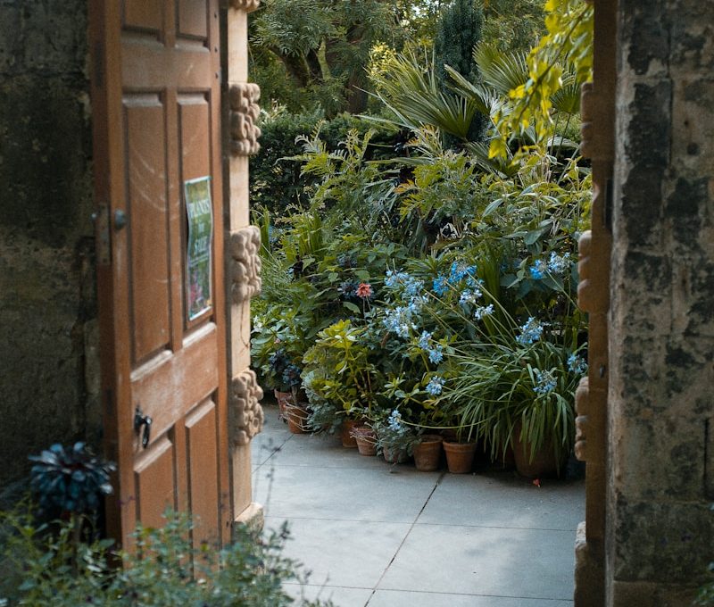 green plants beside brown wooden door