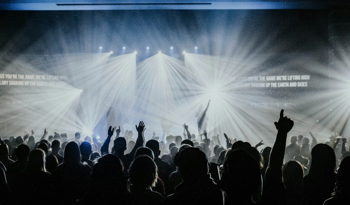 group of people watching concert