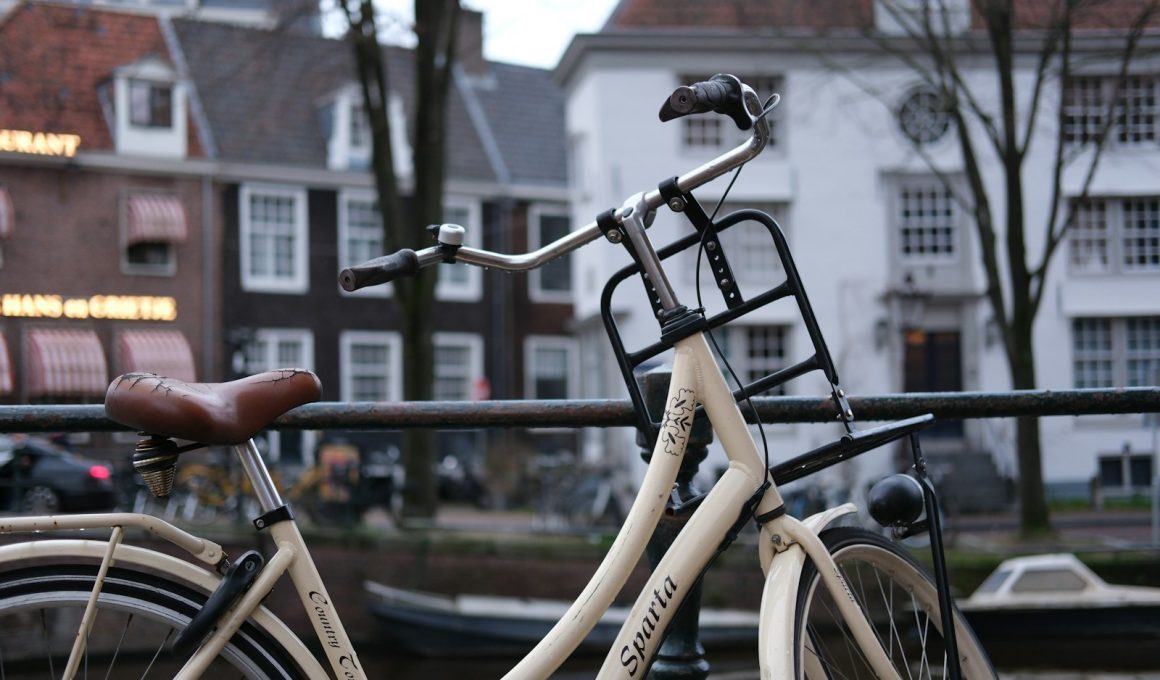 a bicycle parked next to a metal fence
