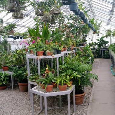 Moderne glazen serre aangebouwd aan een woning met houten vloer en tuinzicht