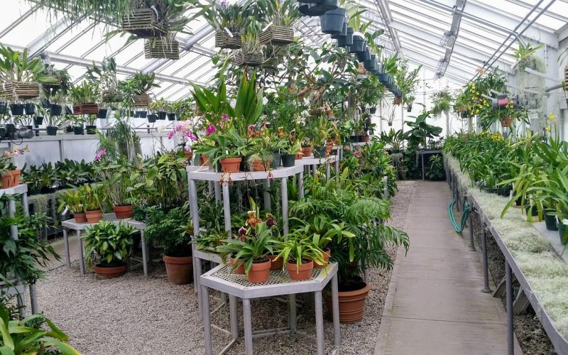 Moderne glazen serre aangebouwd aan een woning met houten vloer en tuinzicht