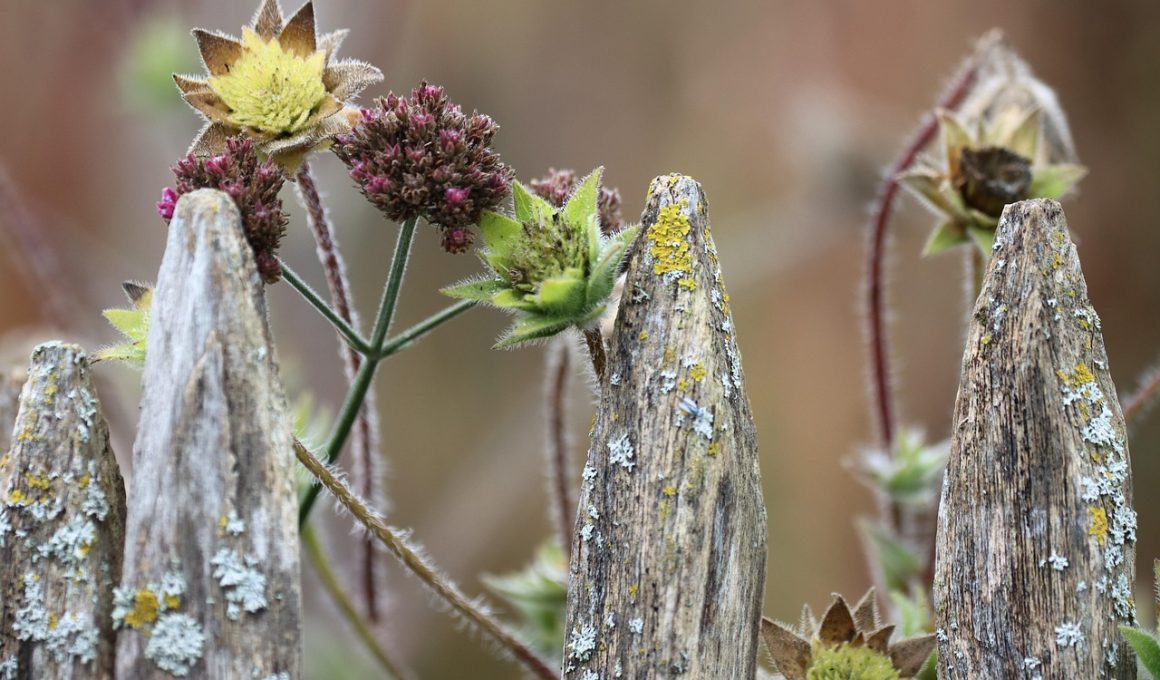 Tuinmeubels van hout en aluminium die worden klaargezet voor winteropslag in de tuin