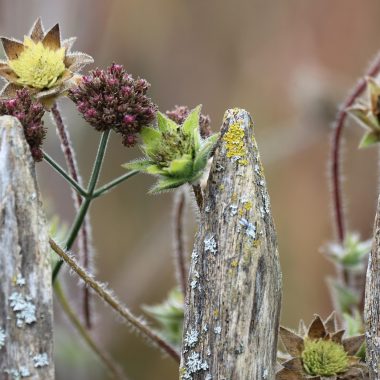 Tuinmeubels van hout en aluminium die worden klaargezet voor winteropslag in de tuin