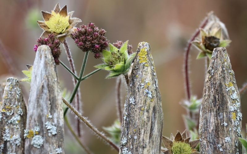 Tuinmeubels van hout en aluminium die worden klaargezet voor winteropslag in de tuin