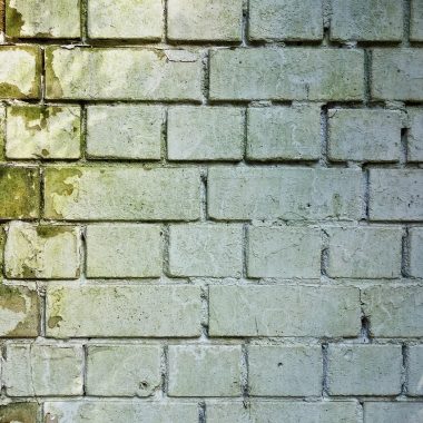 Vochtige schuurmuur met schimmelvorming en witte uitslag
