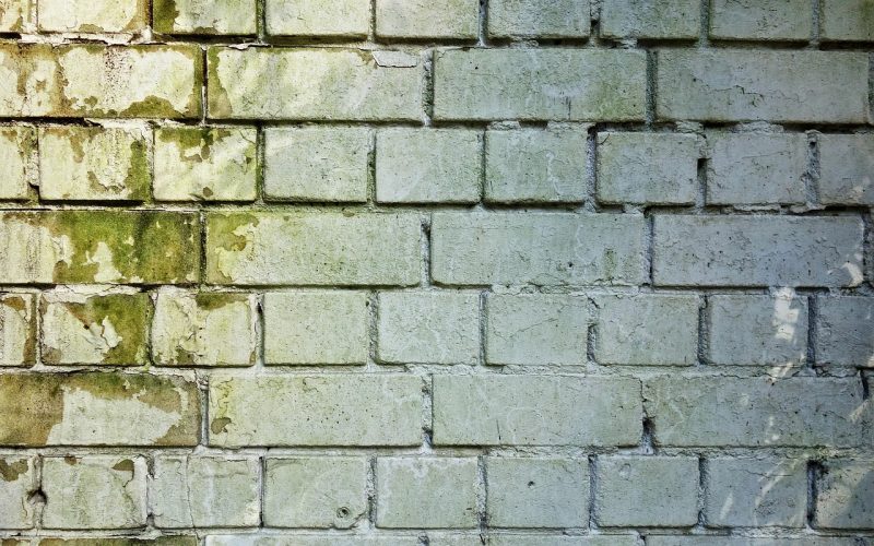 Vochtige schuurmuur met schimmelvorming en witte uitslag